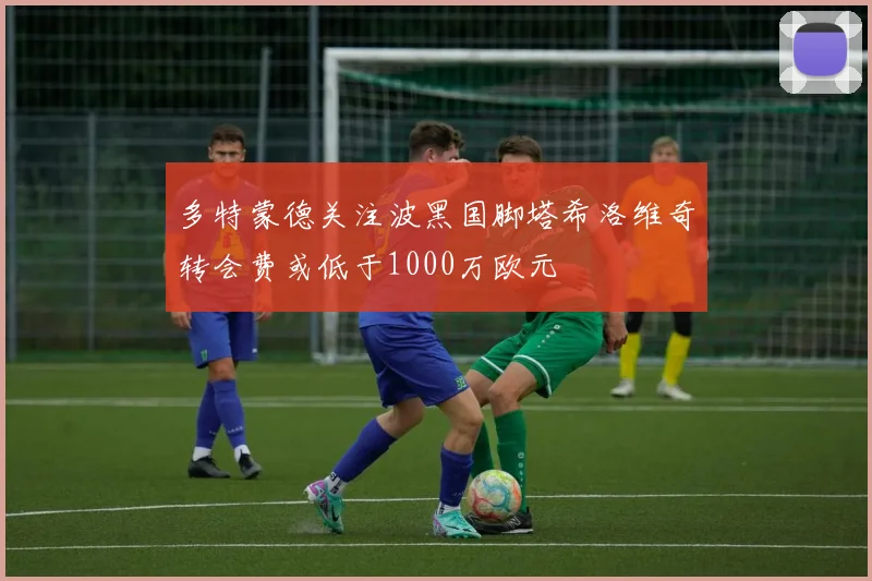 多特蒙德关注波黑国脚塔希洛维奇转会费或低于1000万欧元