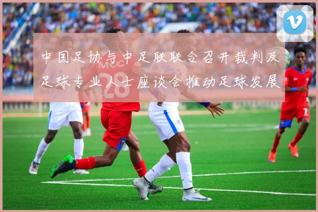 中国足协与中足联联合召开裁判及足球专业人士座谈会推动足球发展新举措